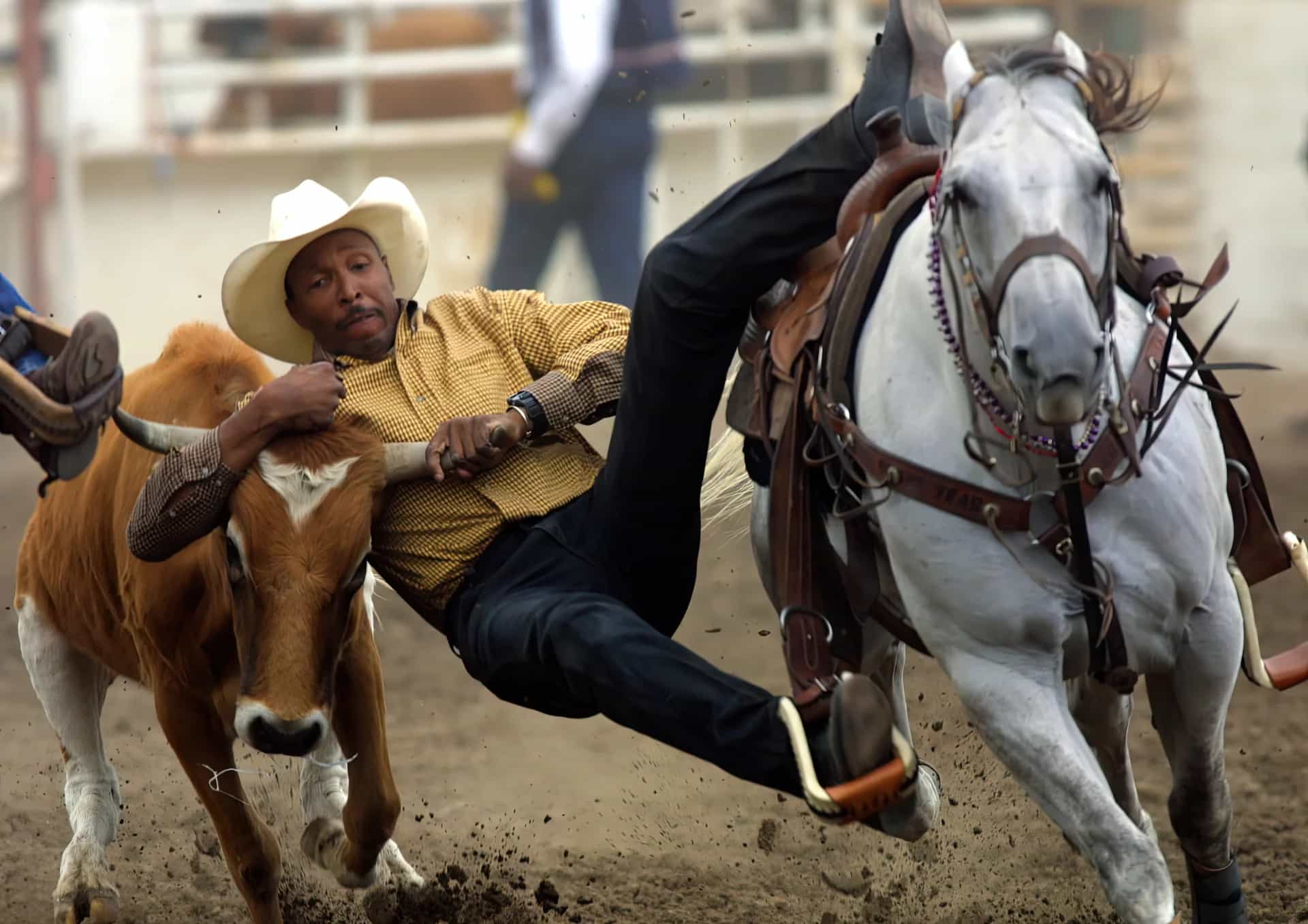 Bill Pickett Invitational Rodeo in Denver - Black-Owned business